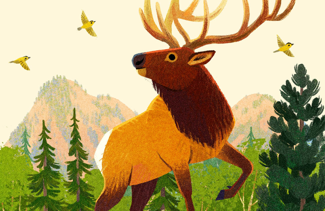 Elk National Park Alphabet Print