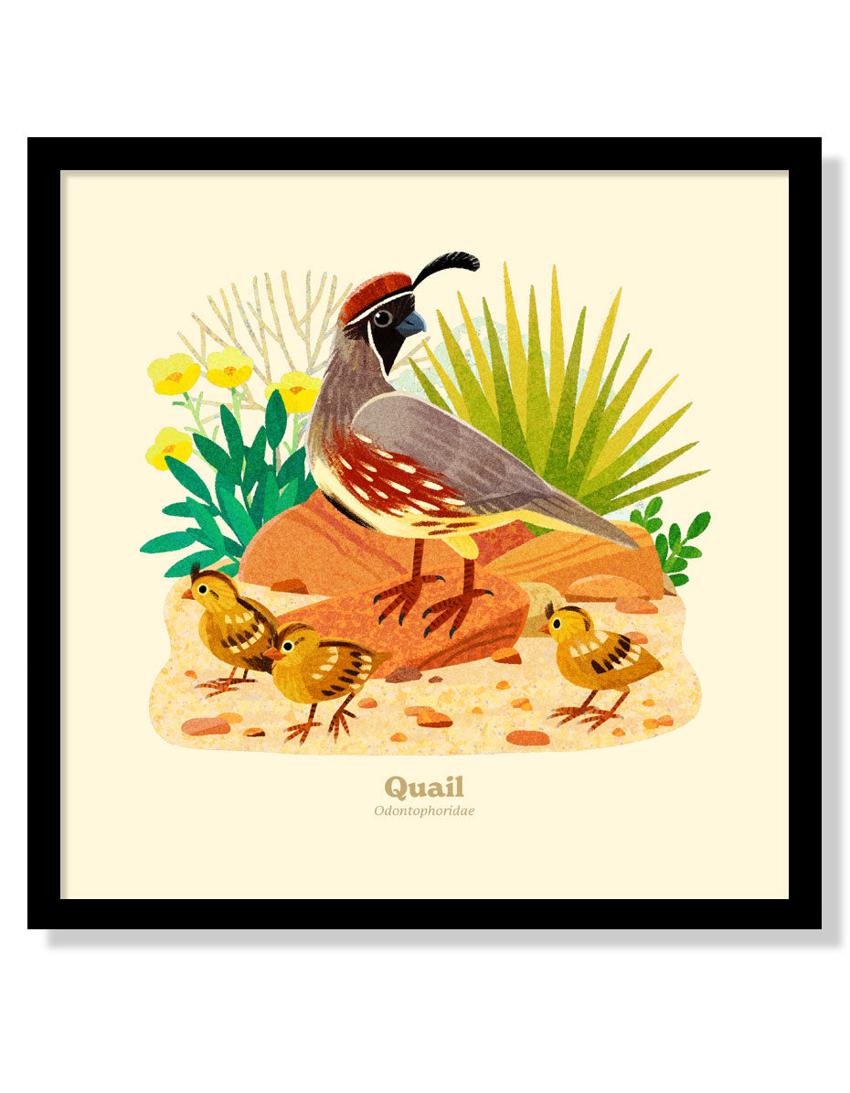 Quail National Park Alphabet Print