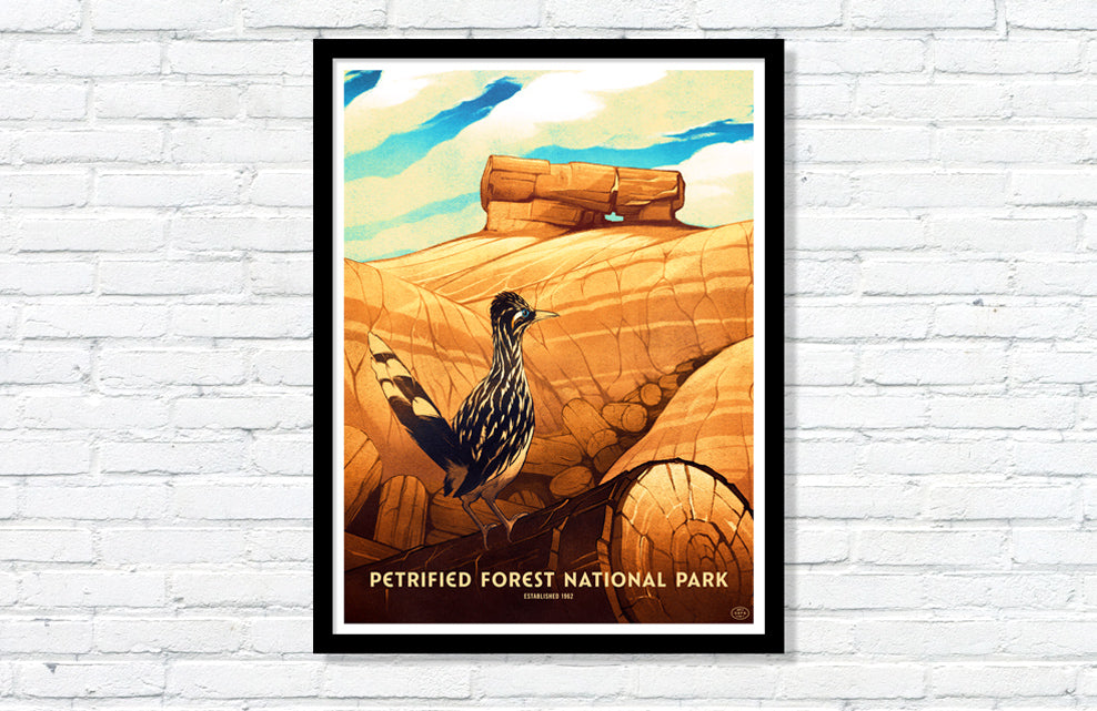 Petrified Forest National Park Poster